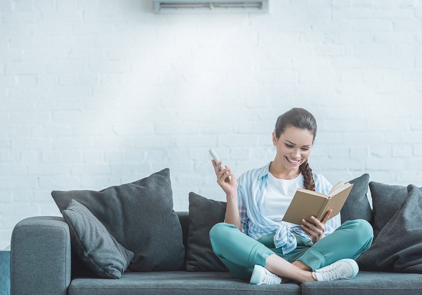 Mould Remediation Air Con Cleaning Brisbane